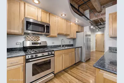 2310 S Canal Street #310, Chicago, IL 60616 - Photo 6