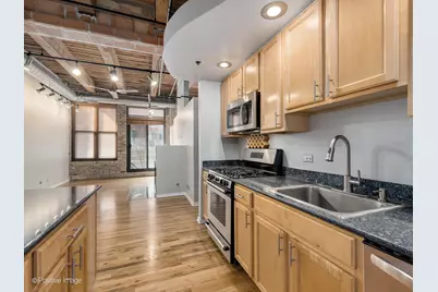 2310 S Canal Street #310, Chicago, IL 60616 - Photo 8