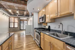 2310 S Canal St, Chicago, IL 60616 - Photo 8