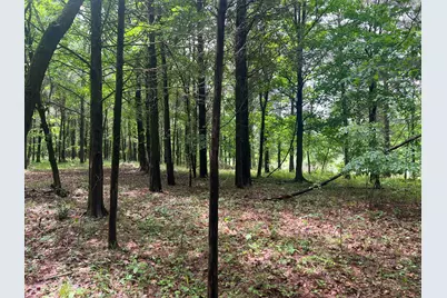 Lot 147 Parrish Ridge, Orangeville, IL 62939 - Photo 8