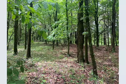 Lot 147 Parrish Ridge, Orangeville, IL 62939 - Photo 6