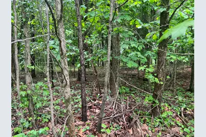 Lot 147 Parrish Ridge, Orangeville, IL 62939 - Photo 4