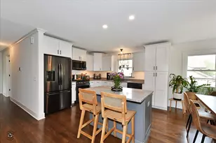 99 Mayer Ave, Wheeling, IL 60090 - Photo 8