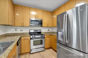 201 N Westshore Dr, Chicago, IL 60601 - Photo 12