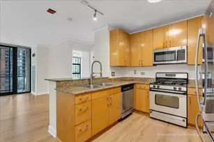 201 N Westshore Dr, Chicago, IL 60601 - Photo 12
