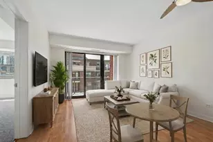 1133 S State St, Chicago, IL 60605 - Photo 2