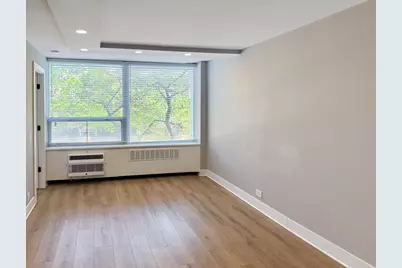 1355 N Sandburg Terrace #206D, Chicago, IL 60610 - Photo 4