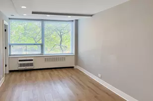 1355 N Sandburg Terrace, Chicago, IL 60610 - Photo 4