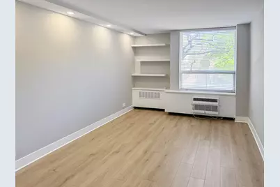 1355 N Sandburg Terrace #206D, Chicago, IL 60610 - Photo 12