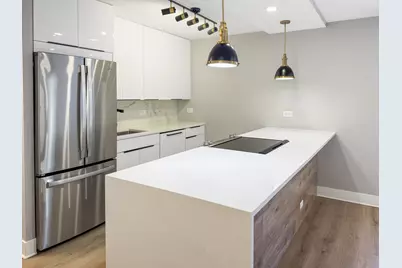 1355 N Sandburg Terrace #206D, Chicago, IL 60610 - Photo 8