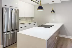 1355 N Sandburg Terrace, Chicago, IL 60610 - Photo 8