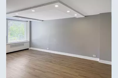 1355 N Sandburg Terrace #206D, Chicago, IL 60610 - Photo 2