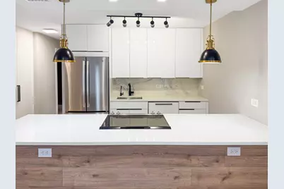1355 N Sandburg Terrace #206D, Chicago, IL 60610 - Photo 6