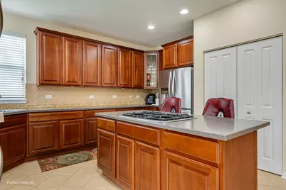 26602 Grande Poplar Court, Plainfield, IL 60585 - Photo 4