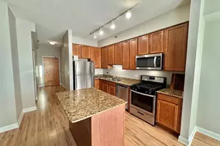 41 E 8th St, Chicago, IL 60605 - Photo 8