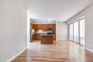 41 E 8th St, Chicago, IL 60605 - Photo 18