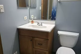 9234 Windsor Pkwy, Tinley Park, IL 60487 - Photo 20