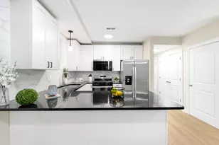 19 E 26th St, Chicago, IL 60616 - Photo 18