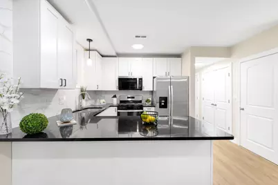 19 E 26th Street #1, Chicago, IL 60616 - Photo 24