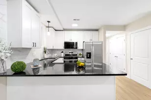 19 E 26th St, Chicago, IL 60616 - Photo 24