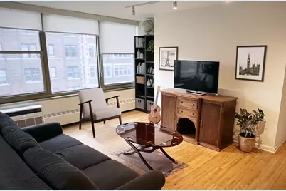360 W Wellington Avenue #13D, Chicago, IL 60657 - Photo 4