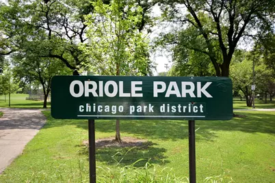 5222 N Oriole Avenue, Chicago, IL 60656 - Photo 46
