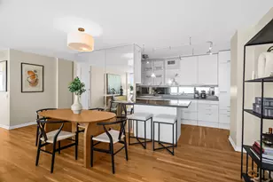 900 N Lake Shore Dr, Chicago, IL 60611 - Photo 8