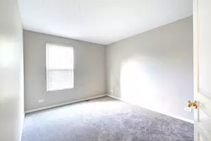 6 Forsythia Ct, Bolingbrook, IL 60490 - Photo 22