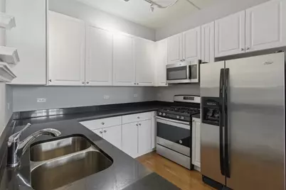 873 N Larrabee Street #507, Chicago, IL 60610 - Photo 4