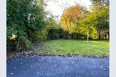 3009 Olive Road, Homewood, IL 60430 - Photo 20