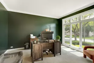 924 Naples Ln, Woodridge, IL 60517 - Photo 2