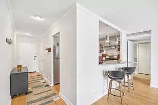 260 E Chestnut St, Chicago, IL 60611 - Photo 10