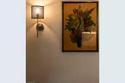 511 N Grove Avenue, Oak Park, IL 60302 - Photo 10