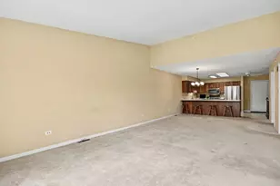 53 Village Woods Dr, Crete, IL 60417 - Photo 16