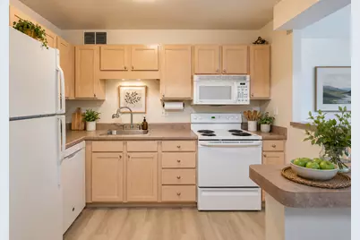 211 E Ohio Street #2517, Chicago, IL 60611 - Photo 4