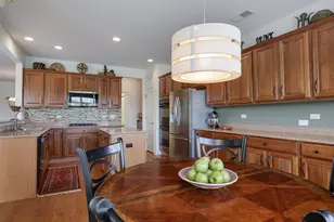 13148 Farm Hill Dr, Huntley, IL 60142 - Photo 14
