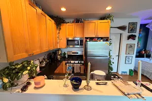 842 N Racine Ave, Chicago, IL 60642 - Photo 6