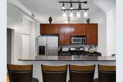 1033 W 14th Place #311, Chicago, IL 60608 - Photo 4