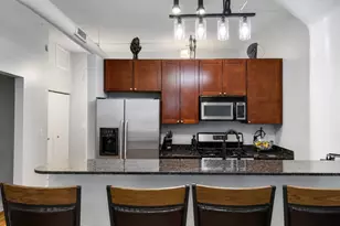 1033 W 14th Pl, Chicago, IL 60608 - Photo 4