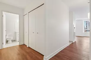 512 N McClurg Ct, Chicago, IL 60611 - Photo 16