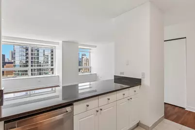 512 N McClurg Court #3809, Chicago, IL 60611 - Photo 14