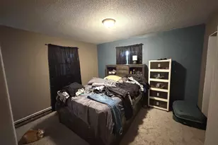 909 S McKinley St, Havana, IL 62644 - Photo 14