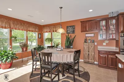 9349 Bundoran Drive, Orland Park, IL 60462 - Photo 12