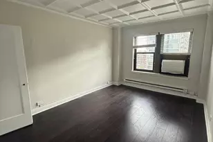 1211 N Lasalle St, Chicago, IL 60610 - Photo 6