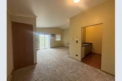 1375 NW Cunat Court #3B, Lake in the Hills, IL 60156 - Photo 2