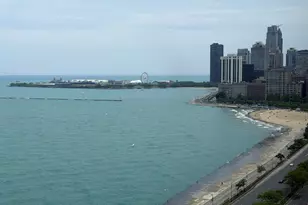 1440 N Lake Shore Dr, Chicago, IL 60610 - Photo 6