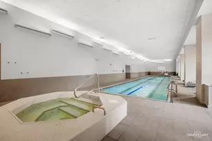 204 N Park Dr, Chicago, IL 60601 - Photo 36