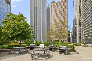 204 N Park Dr, Chicago, IL 60601 - Photo 52