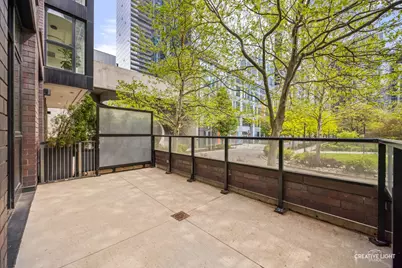 204 N Park Drive, Chicago, IL 60601 - Photo 8