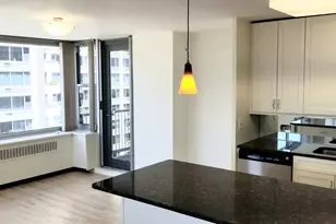 4250 N Marine Dr, Chicago, IL 60613 - Photo 24